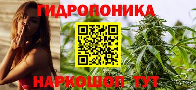 мяу мяу мука Лесосибирск