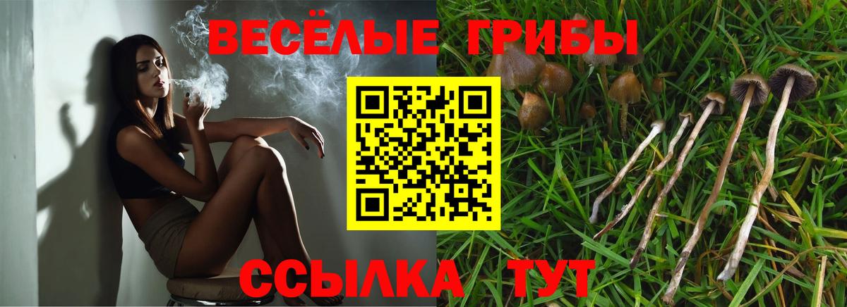 Галлюциногенные грибы MAGIC MUSHROOMS Серпухов