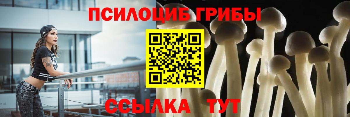 Серпухов  Галлюциногенные грибы мухоморы  Вход с VPN 